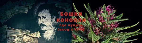 spice Каменка