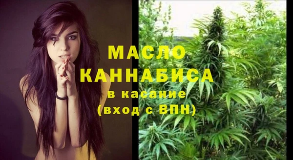 spice Каменка