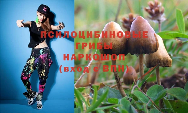 spice Каменка