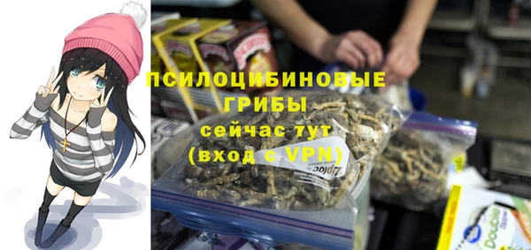 spice Каменка