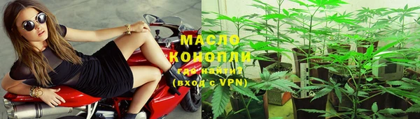 spice Каменка
